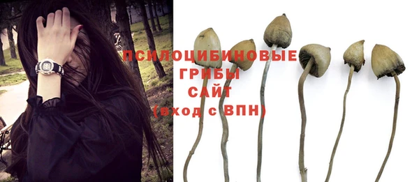 амфетамин Надым