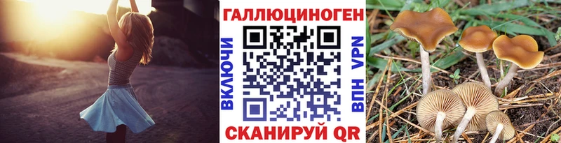 купить  цена  Ипатово  Псилоцибиновые грибы Magic Shrooms 