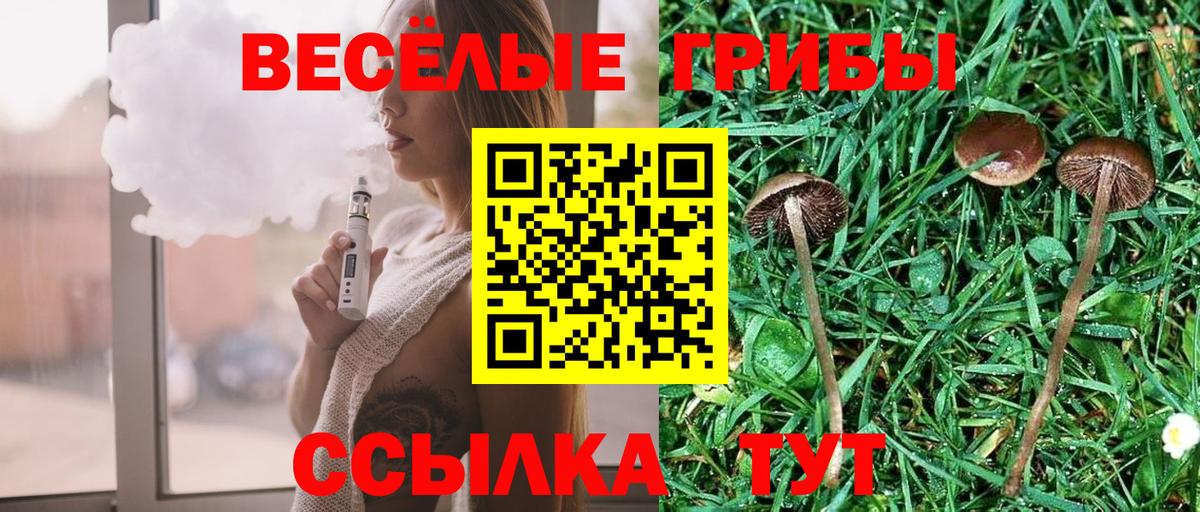 Галлюциногенные грибы MAGIC MUSHROOMS Ипатово