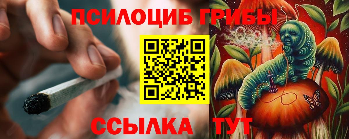 Псилоцибиновые грибы Psilocybine cubensis  Вход с VPN  Ипатово  где купить наркоту  Псилоцибиновые грибы GOLDEN TEACHER 